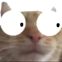 Catscared catScared Discord Emoji