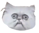 catspook Discord emoji