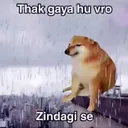 Fx_thakgyahu