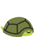 TT_TurtleHiding