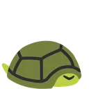 HidingTurtle
