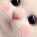 yeon_blush