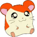 hamtaro