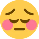 FlushPensive