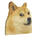 doge3d