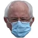bernie_mask