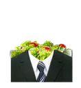 SaladSuit