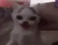 melon