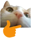 wydthink