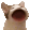 popCat Discord emoji
