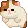 BIGCAT