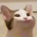 KittySmile