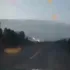 DeerFuckingDiesLmfao