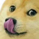 Dogelick Discord Emoji
