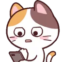 tlarCatConcerned