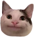 ZRellycat