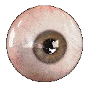 eyeballE