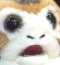 EN_ShockedPorg Discord emoji
