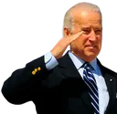 bidensalute