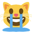 catcryign