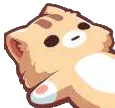 w_tierd_kitten