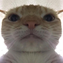 Catto_imwatchingyu Discord emoji