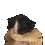 gx_purrito gx_purrito