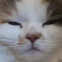 emoji_2 emoji_2