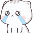 kittyCry