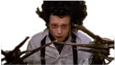 Edwardscissorhands