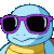 KK_squirtle