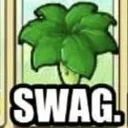 Swag Swag
