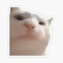 Catvibing catvibing Discord Emoji