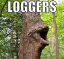 loggers