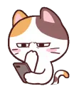 CatBruh