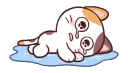 CatSuffer