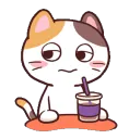 CatEat