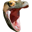 KomodoChomp