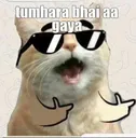 EMT_tumhara_bhai_aagya