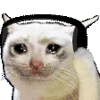 SadCatJam
