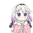 ppHop