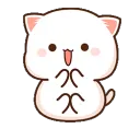 tlamPeachBounce
