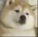 bruh