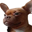 td