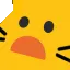 CAT_what CAT_what