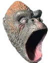 kong_pog