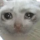 cri