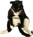 BOOTSSADGE