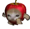 catApple