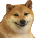 DoggoSmile